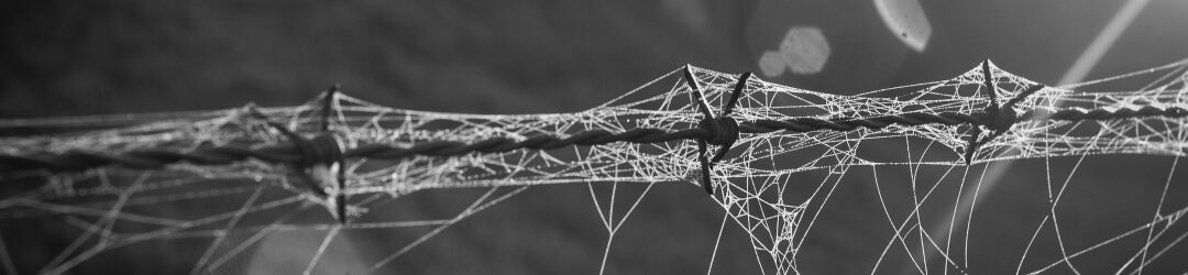 Tangled Webs